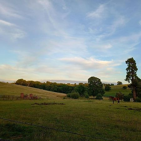 The Stables At Eriviat Hall Henllan  Exterior foto